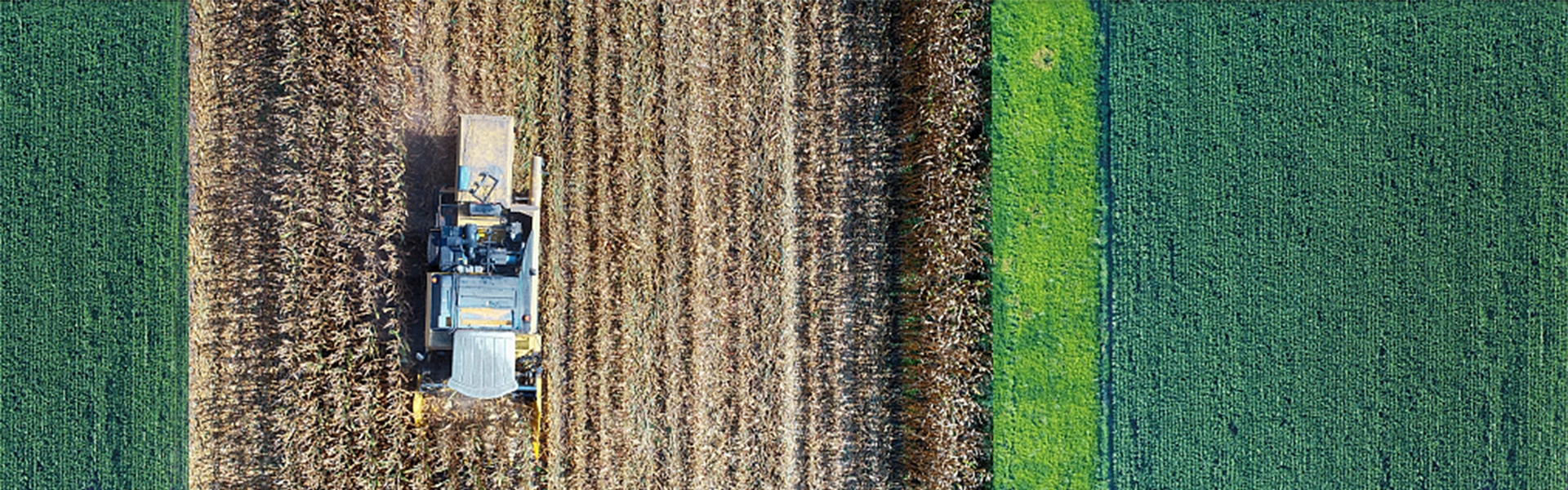 Laser Machine in Agriculture