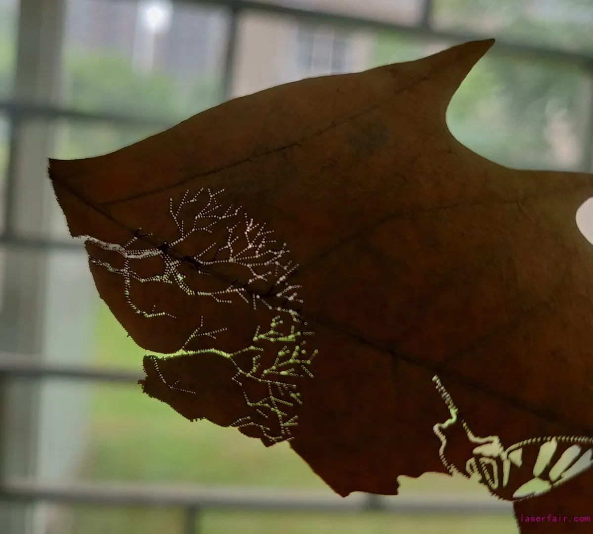 What Fiber Laser Machines Can Do?